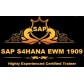 SAP S4 HANA EWM 1809 VIDEOS COURSE